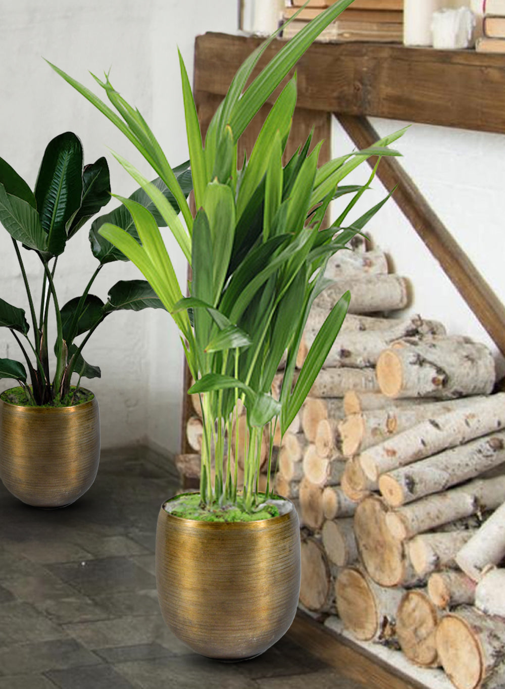 Gold Aluminum Planter, in 3 Sizes