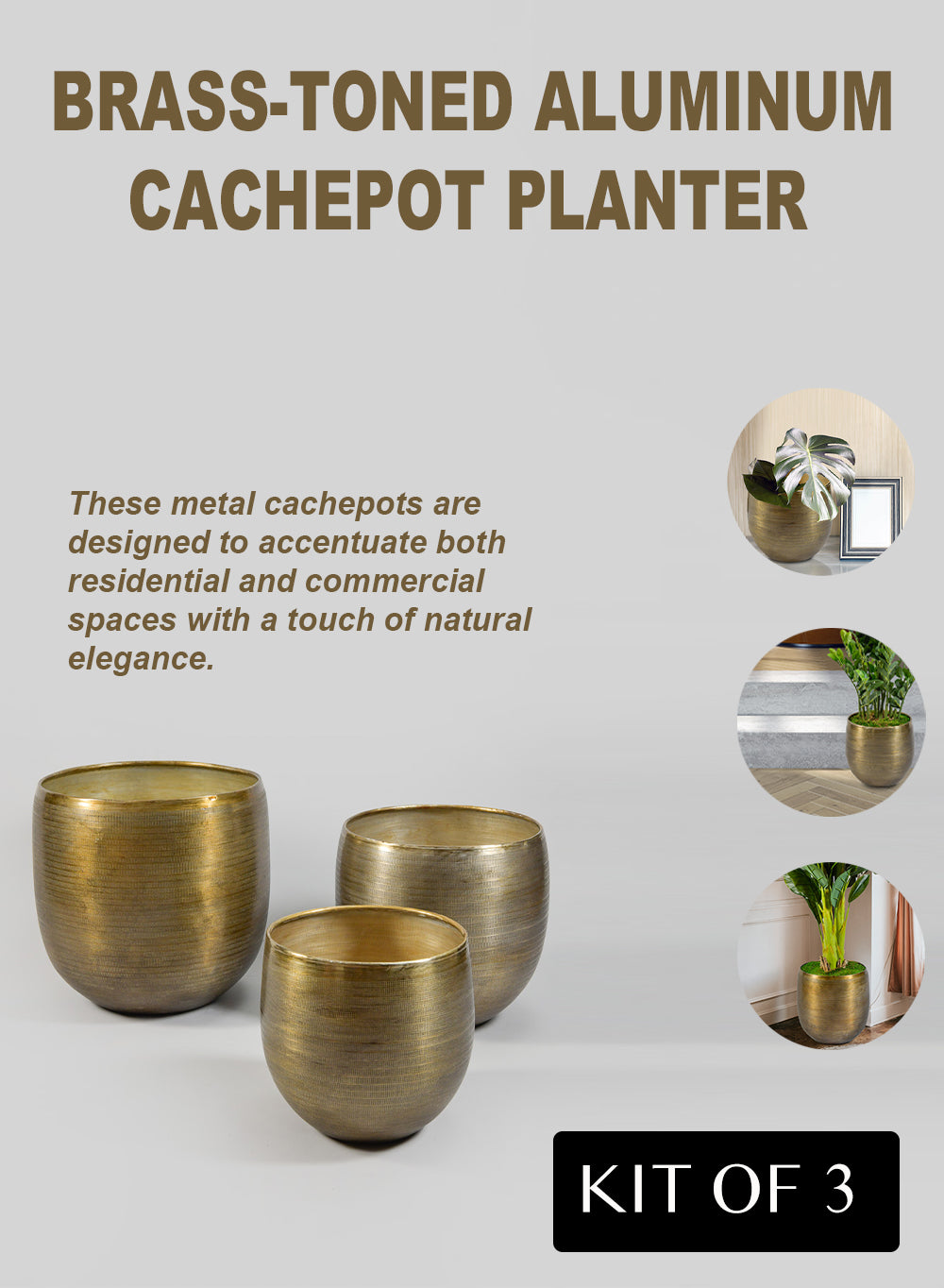 Gold Planter with Detachable Metal Stand, in 4 Sizes