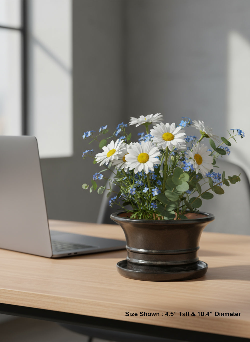 TaoShan Oval Ceramic Planter, 10.4" Diameter & 4.5" Tall