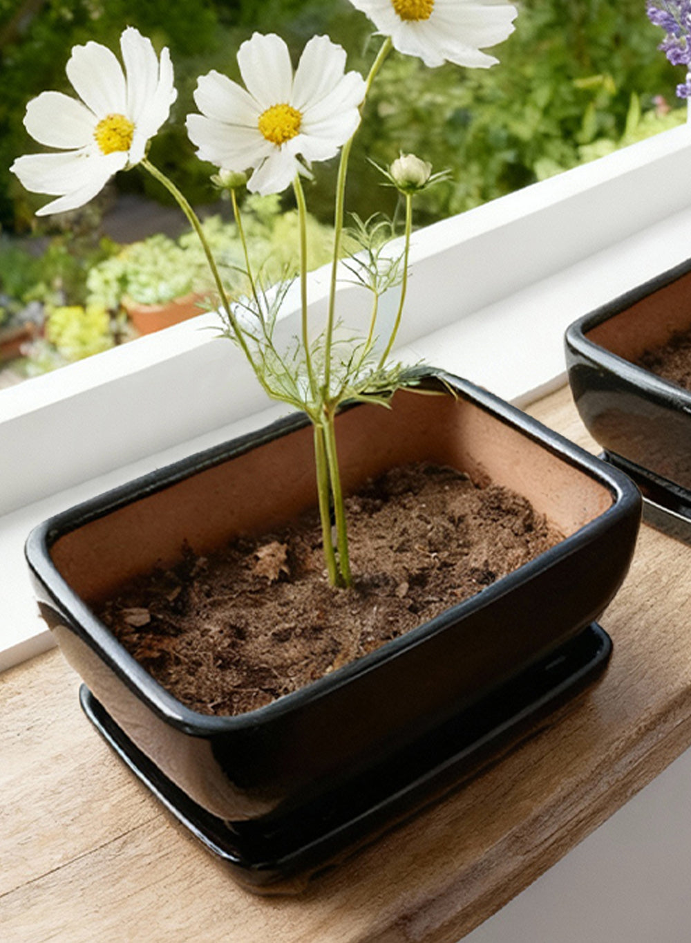 Black Ceramic Bonsai Planters, Bundle of 2 (Small & Medium)