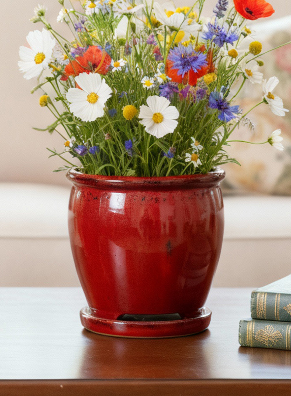 Sora Ceramic Planter Collection