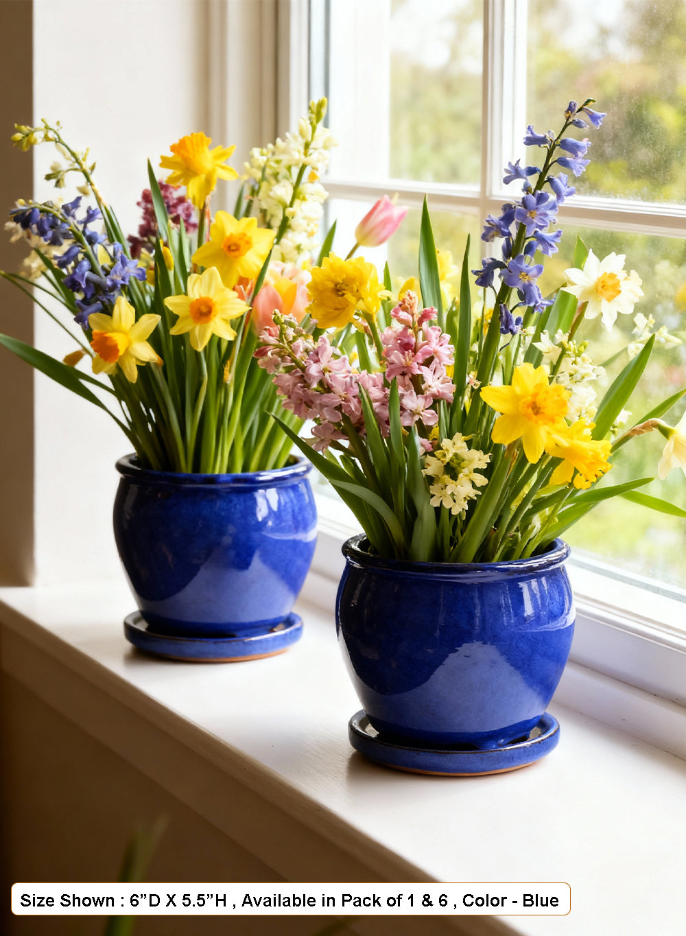 Sora Ceramic Planter Collection