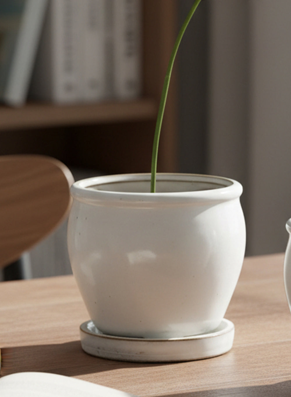Sora Ceramic Planter Collection | Planters | Serene Spaces Living