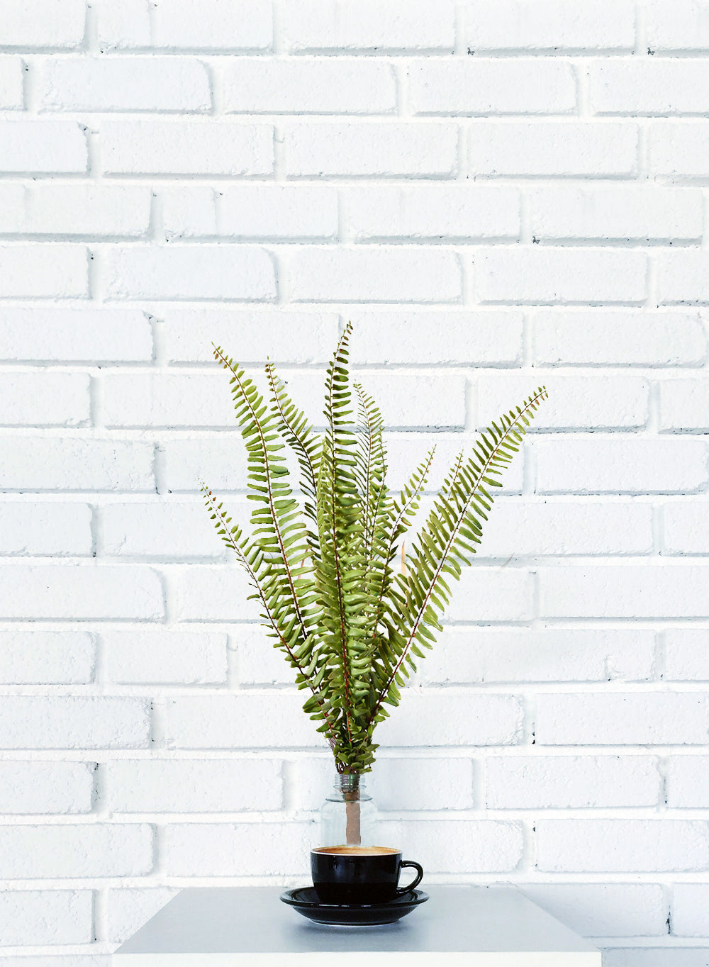 20" Artificial Boston Fern Plant, Pack of 12