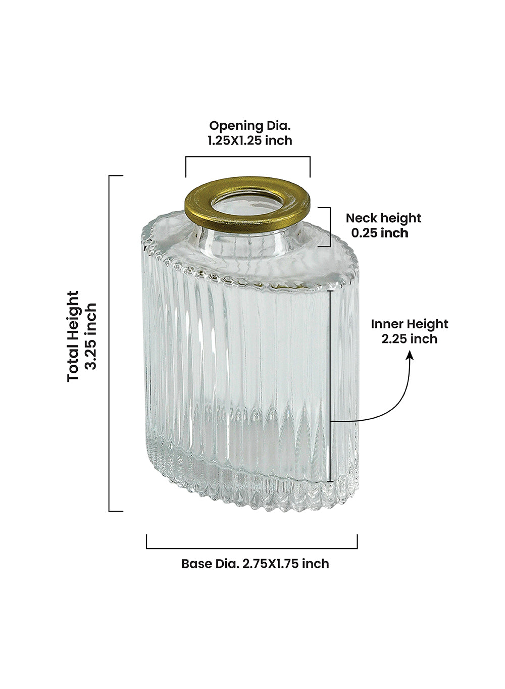 Clear Ribbed Glass Oval Bud Vases with Gold Rim, Available in 2 Sets