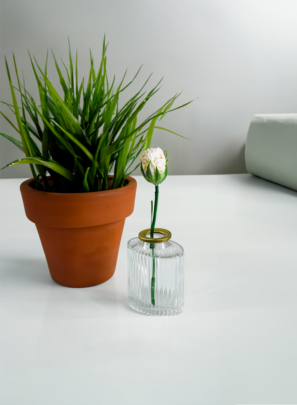 Clear Ribbed Glass Oval Bud Vases with Gold Rim, Available in 2 Sets