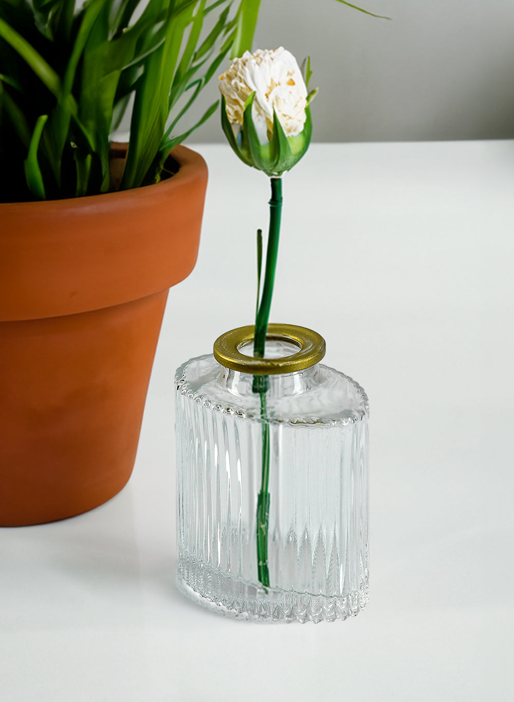 Clear Ribbed Glass Oval Bud Vases with Gold Rim, Available in 2 Sets