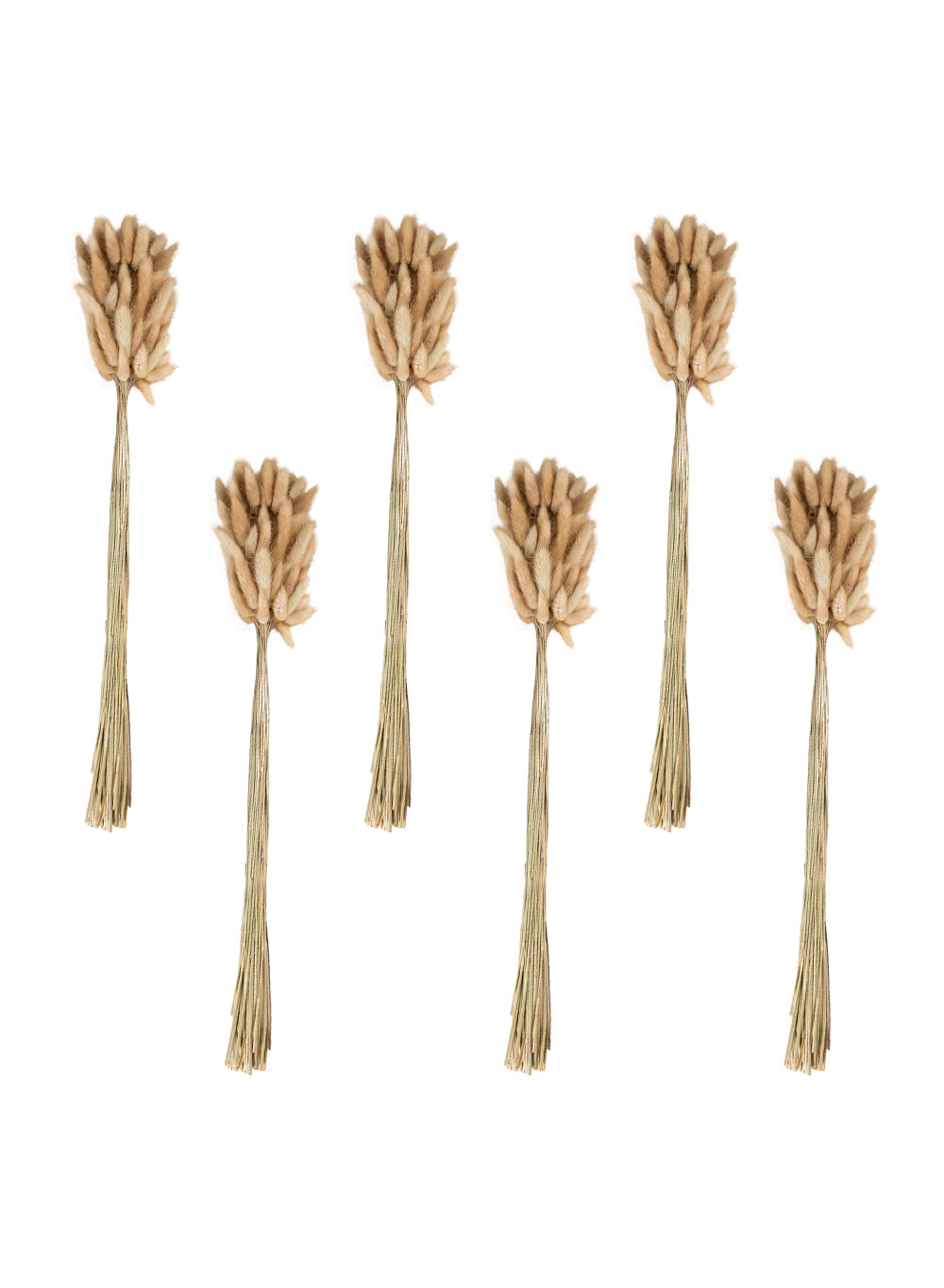 Natural Preserved Bunny Tail Grass Stems, 25" Tall, Pack of 6