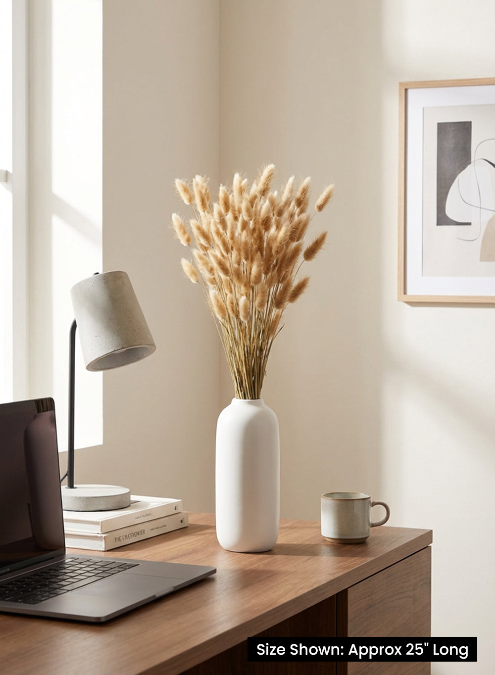 Natural Preserved Bunny Tail Grass Stems, 25" Tall, Pack of 6