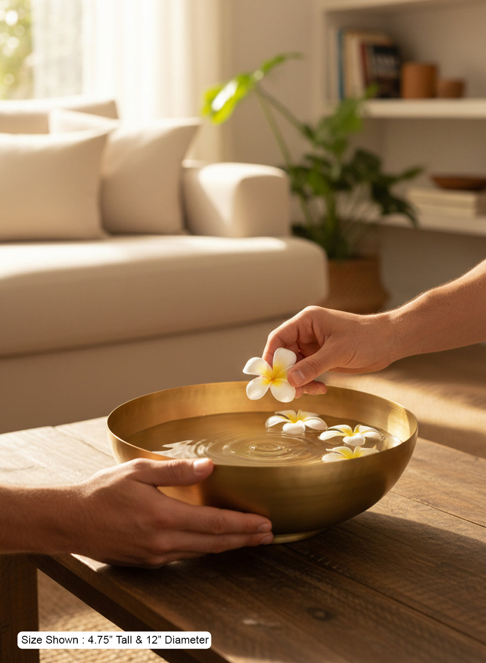 Badarai Brass Bowl Collection