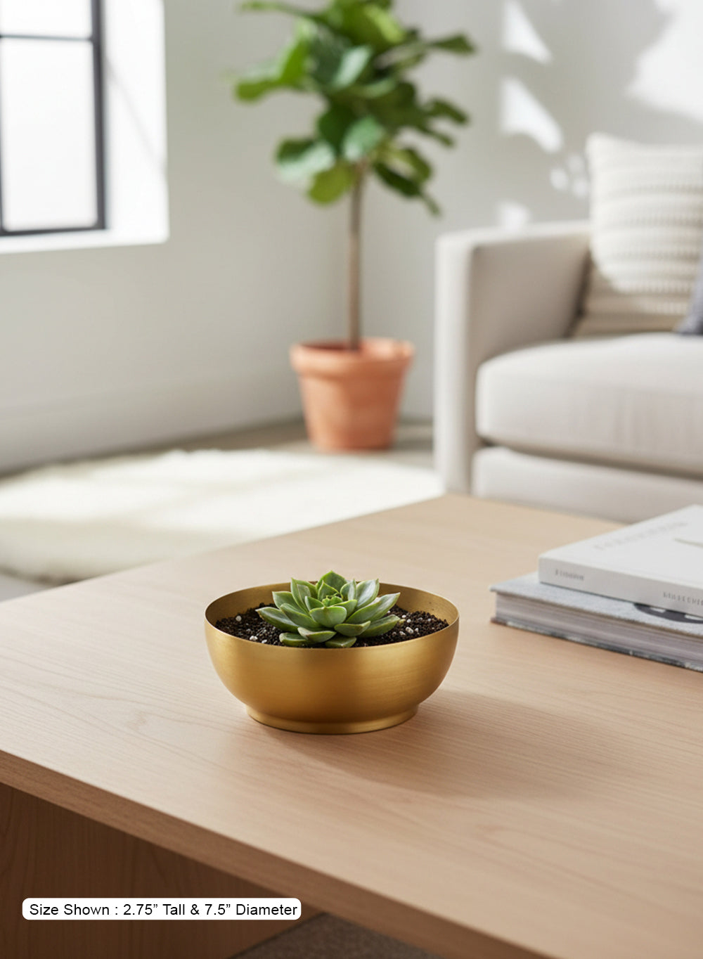 Badarai Brass Bowl Collection