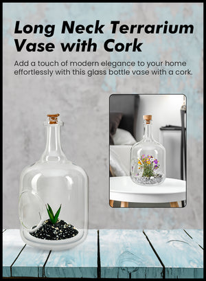 Terrarium Bottle Vase with Cork, in 4 Shapes