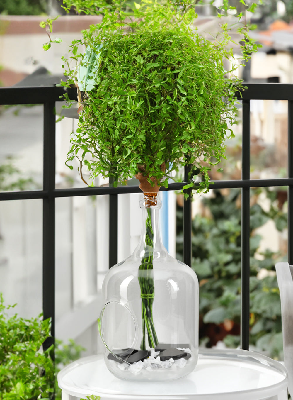 Terrarium Bottle Vase with Cork, in 4 Shapes