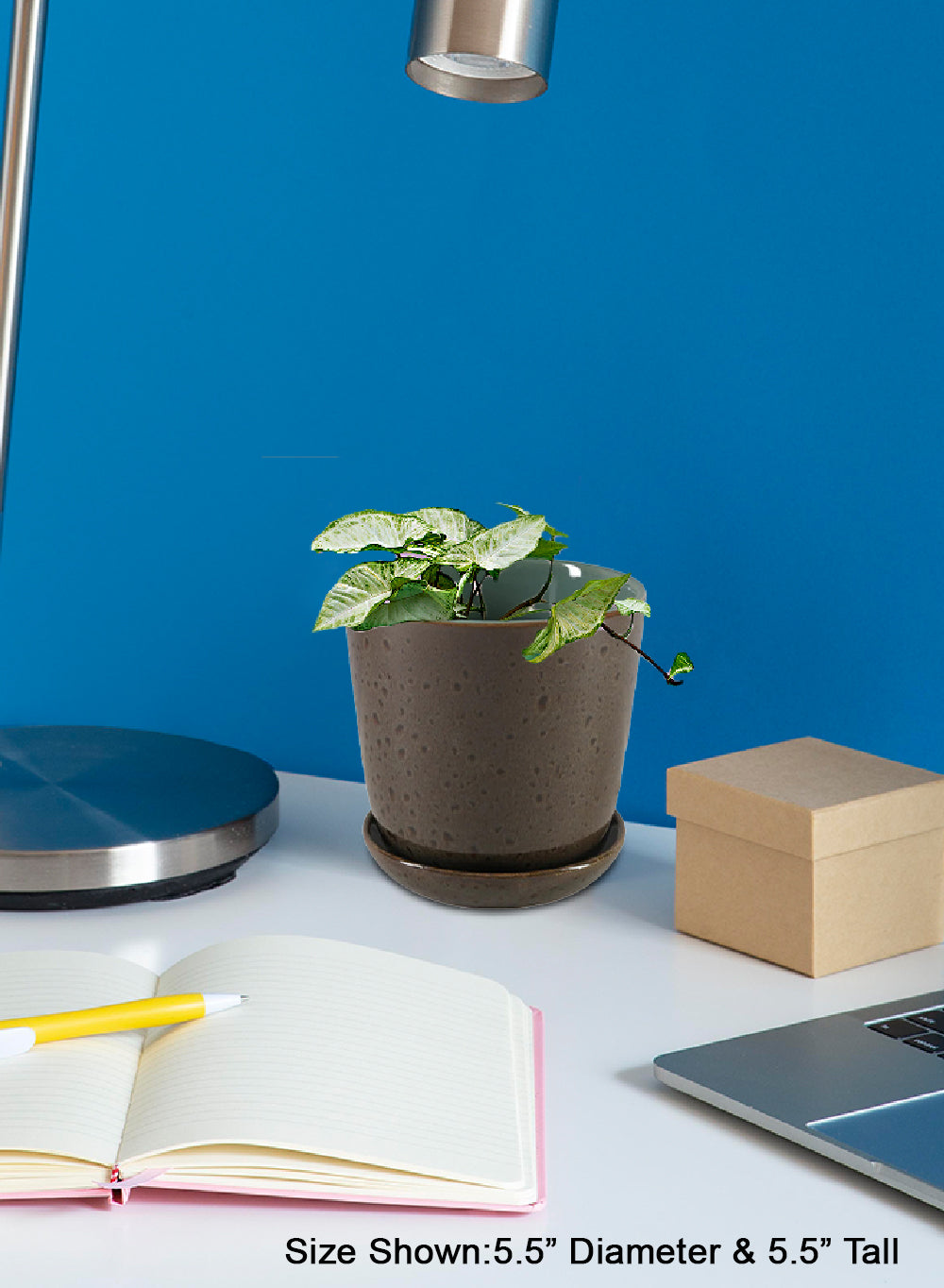 Speckled Green Ceramic Planter with Saucer, In 2 Sizes