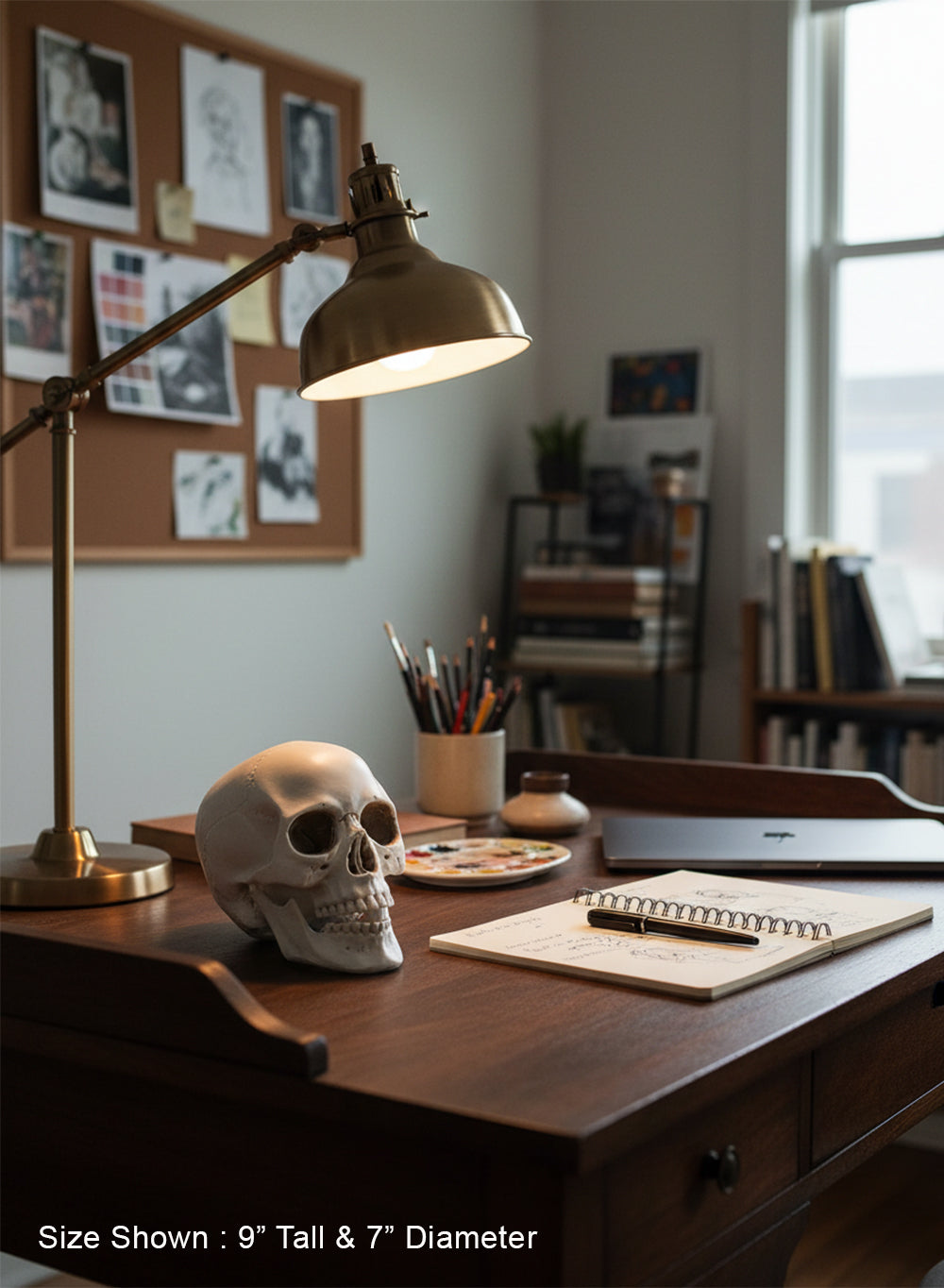 Lifelike Skull Décor Collection
