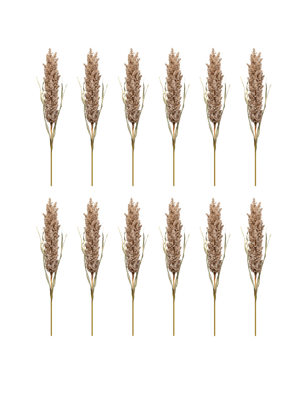 Artificial Beige Pampas Grass Stem, 42" Tall, Pack of 12