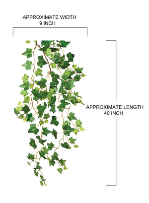 Artificial Hanging Ivy Plant, Pack of 12