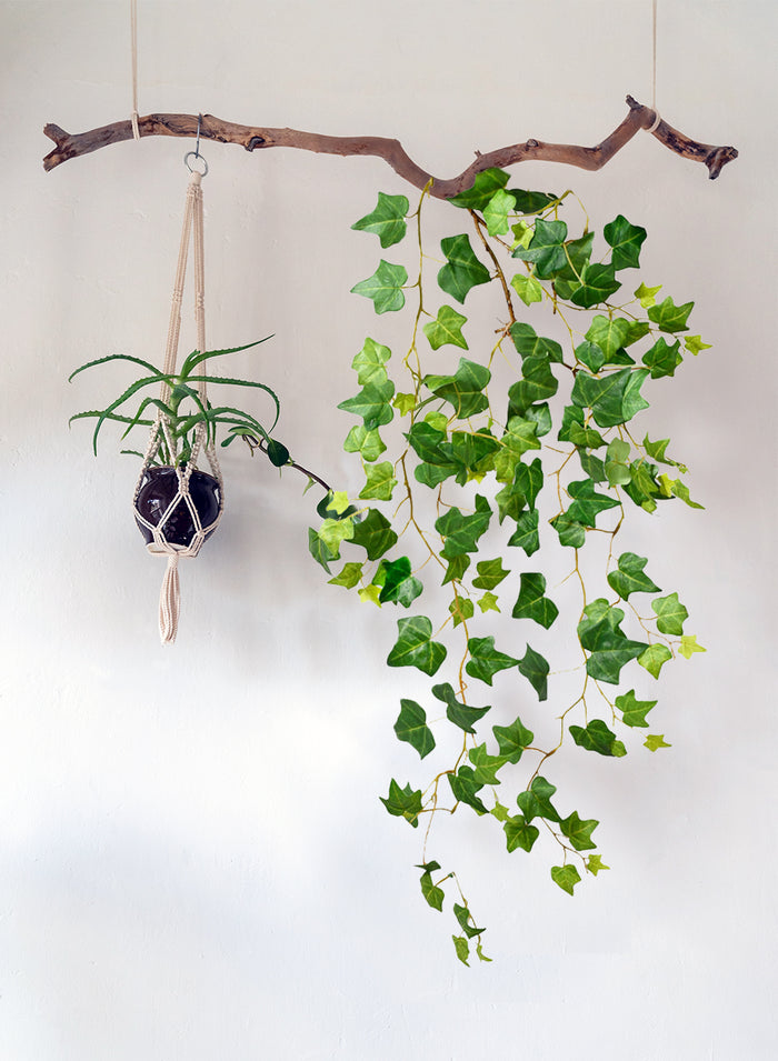Artificial Hanging Ivy Plant, Pack of 12