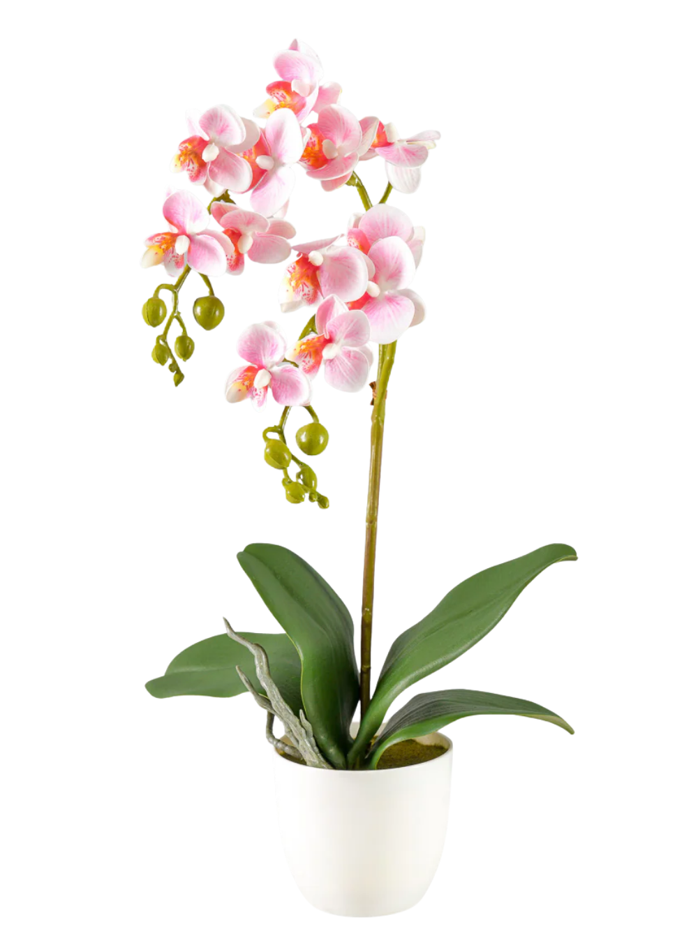 Potted Faux Pink Phalaenopsis Orchids, 3.8" Diameter & 15" Tall