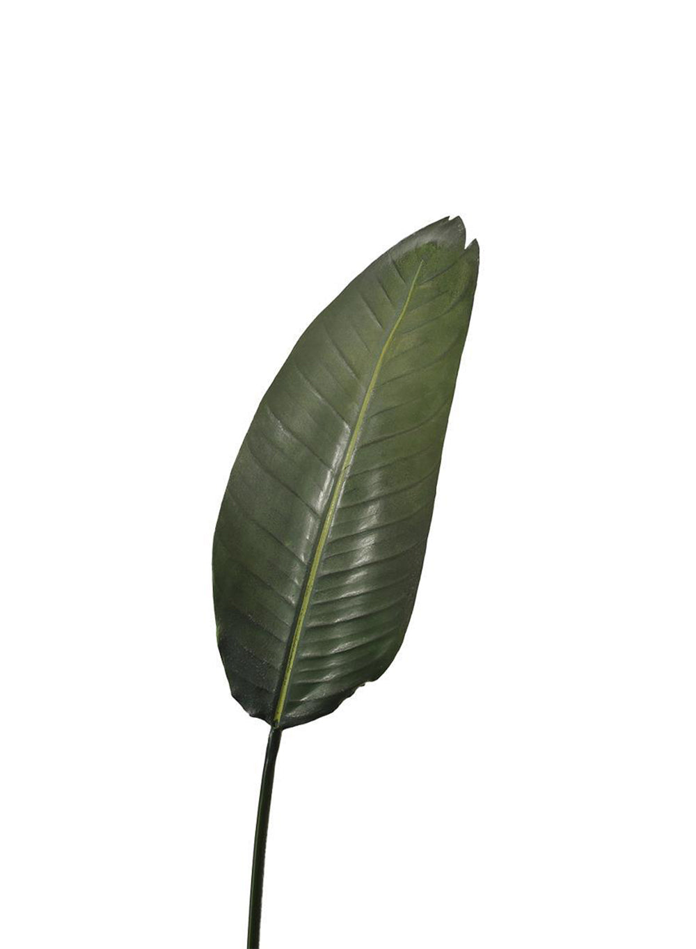 45" Faux Paradise Leaf, Pack of 12