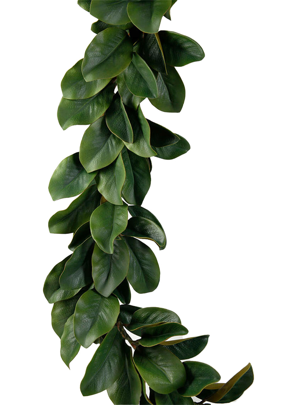 Magnolia Leaf Garland