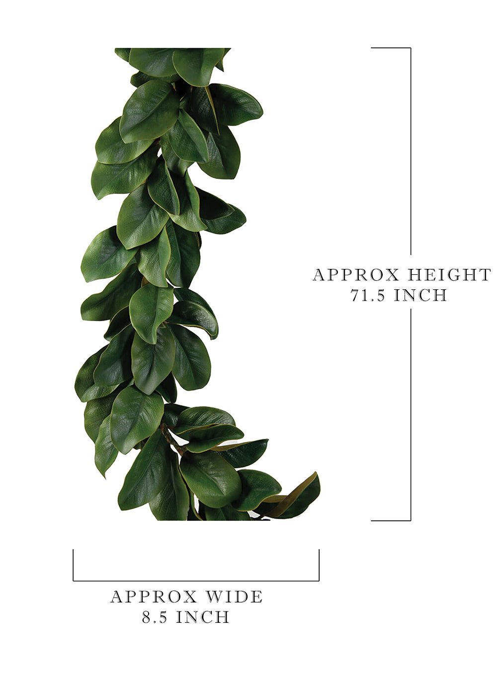 Magnolia Leaf Garland