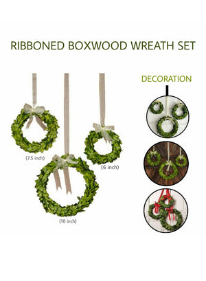 Preserved Boxwood Wreaths & Garland, In Various Sizes