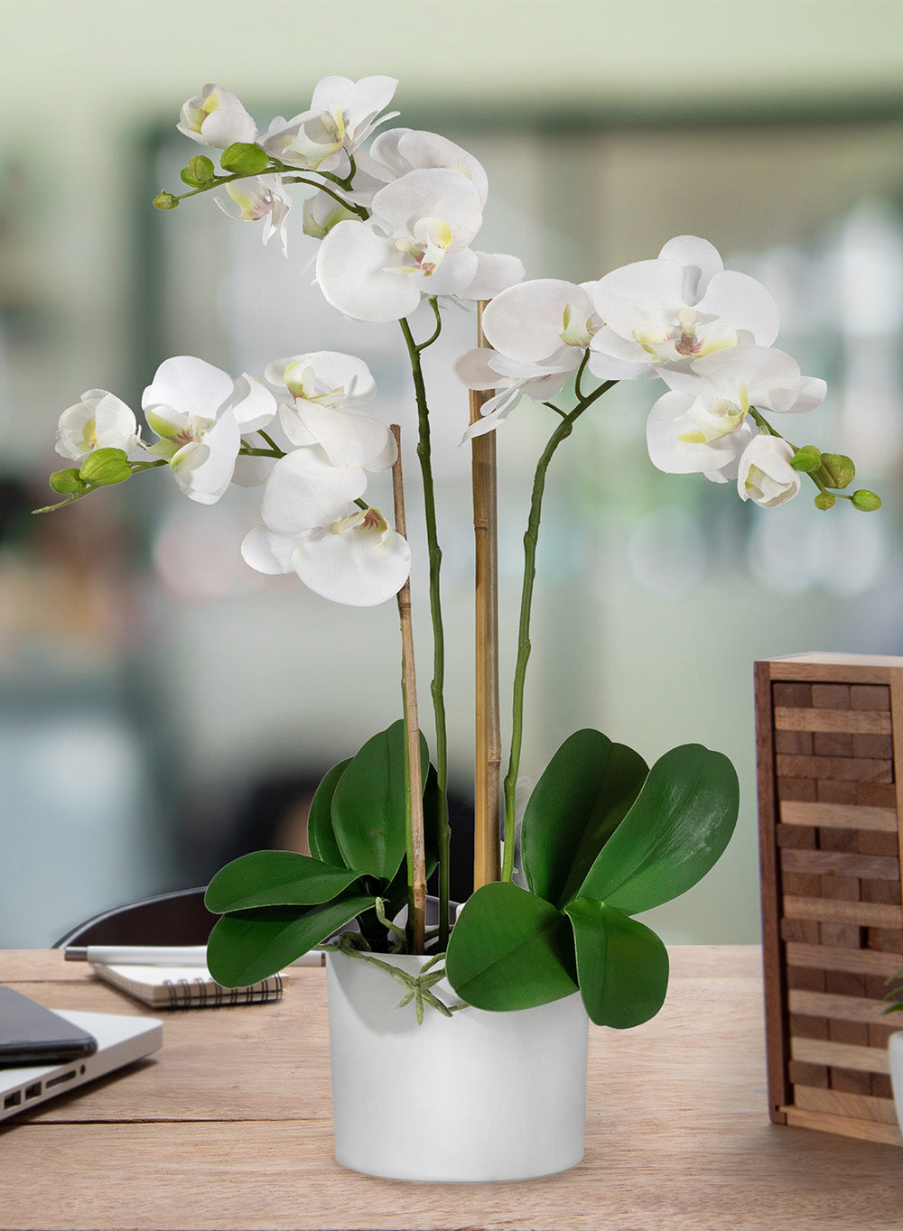 Potted Faux Phalaenopsis Orchids, 5" Diameter & 26" Tall, in 2 Colors