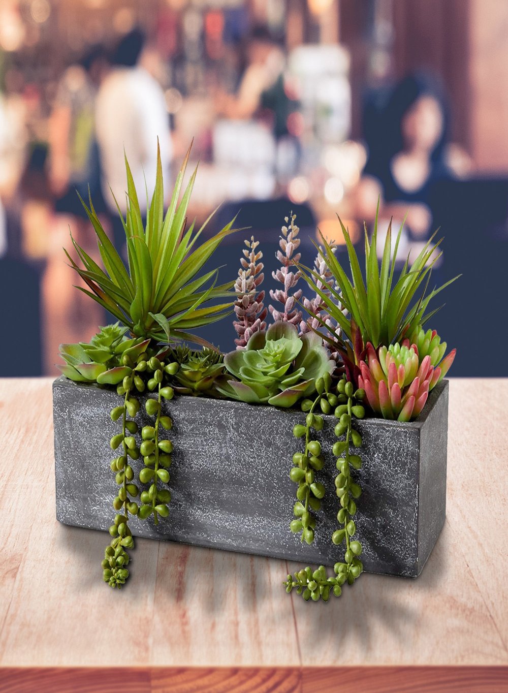 Mixed Succulent in Rectangle Planter, 12" L x 4.5" W x 9" H