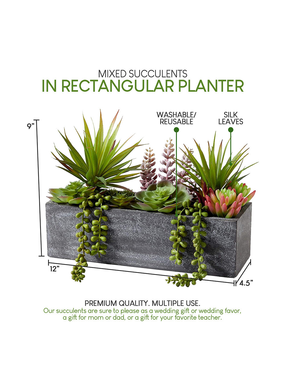 Mixed Succulent in Rectangle Planter, 12" L x 4.5" W x 9" H