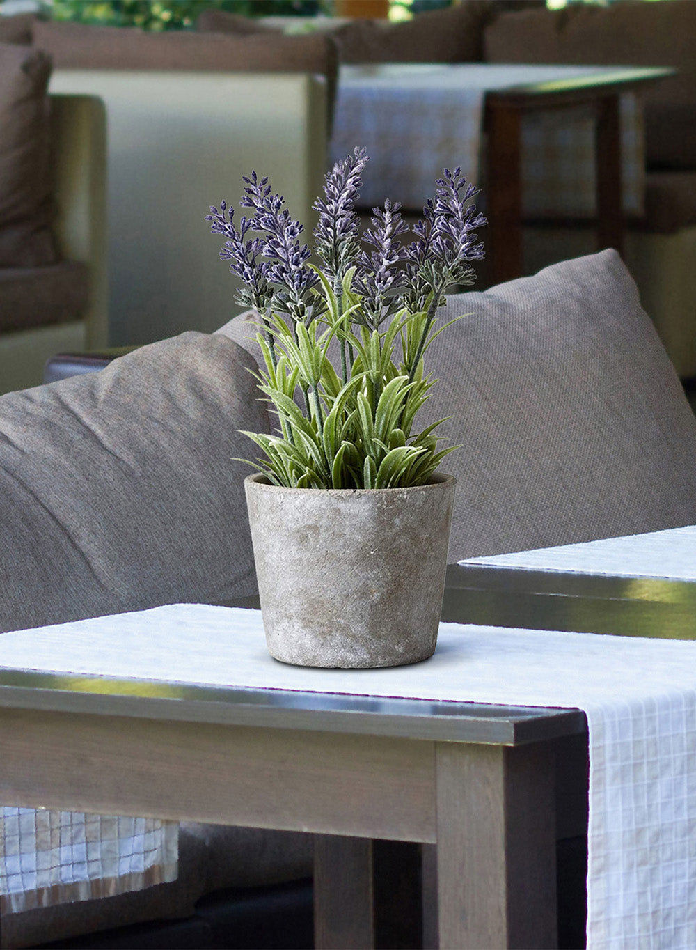 Planters With Lavender, 4" Diameter & 10" Tall