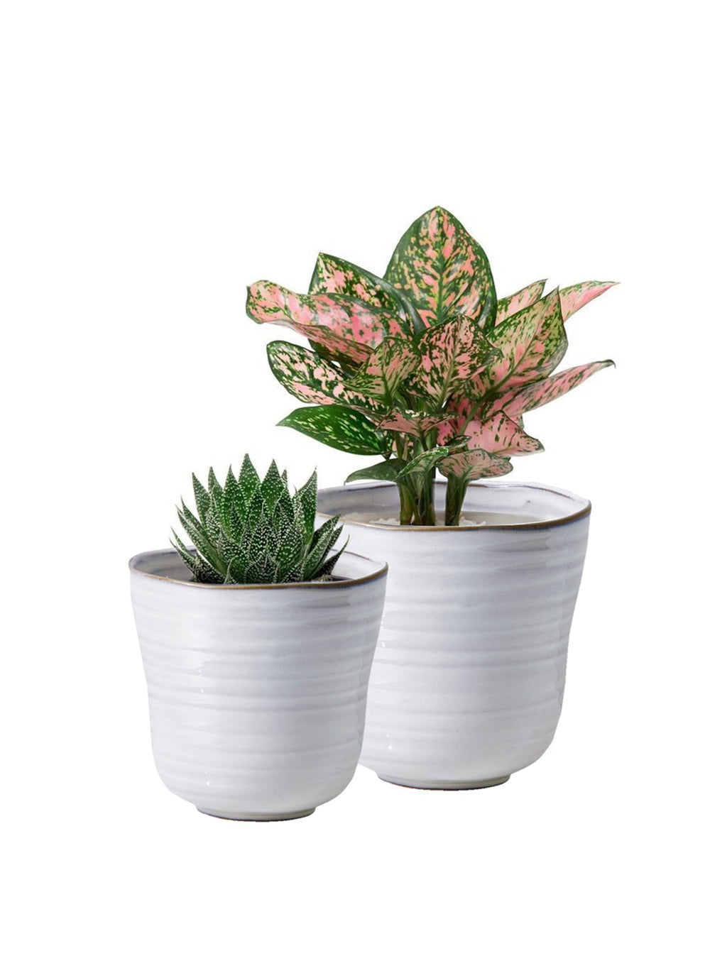 Ceramic Ripple Pot, in 2 Colors & Sizes