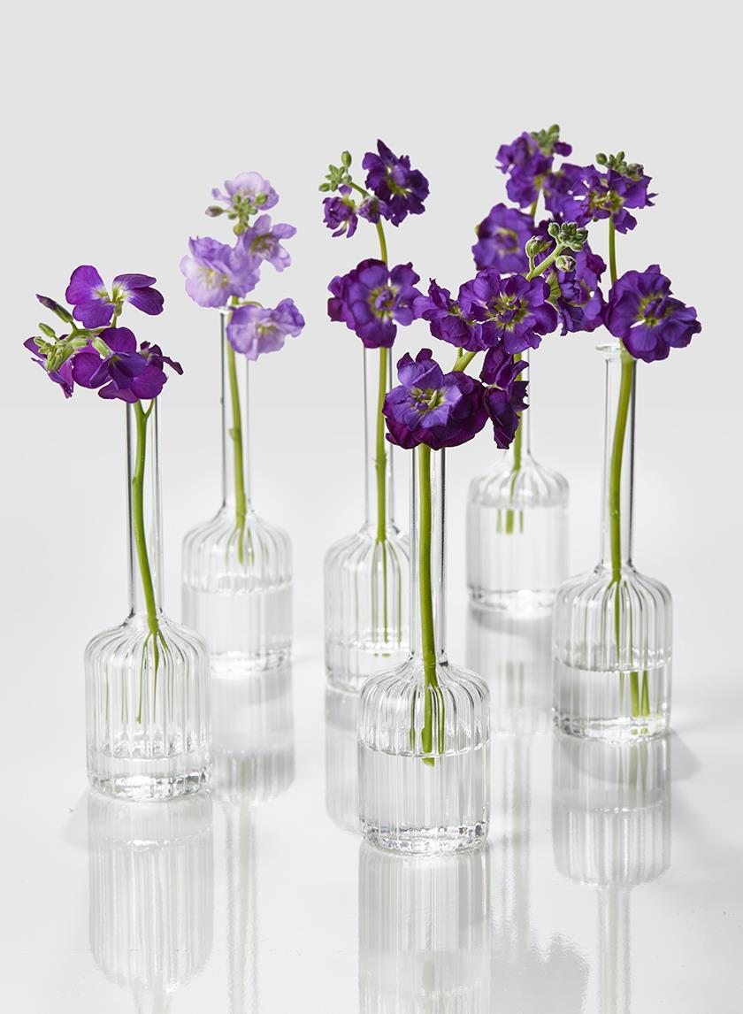 Optical Glass Cylinder Bud Vase, Set of 6