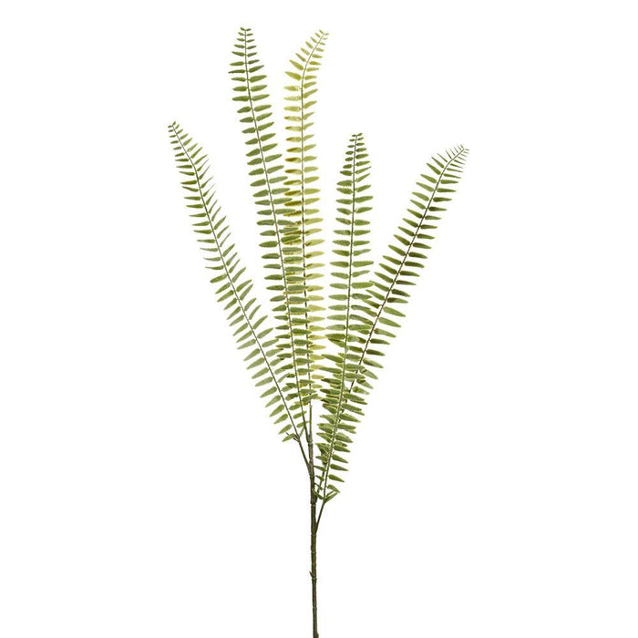 Serene Spaces Living Artificial Fern, Real Looking Plant Leaves for Decoration, Measures 36" Tall, Pack of 12