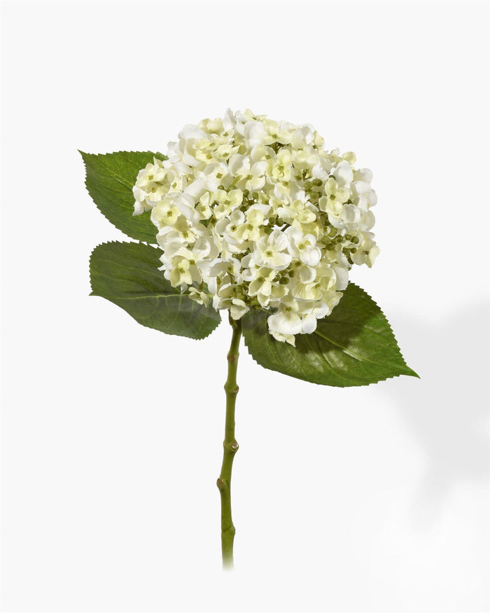 19" White Hydrangea, Sold Individually and Pack of 12