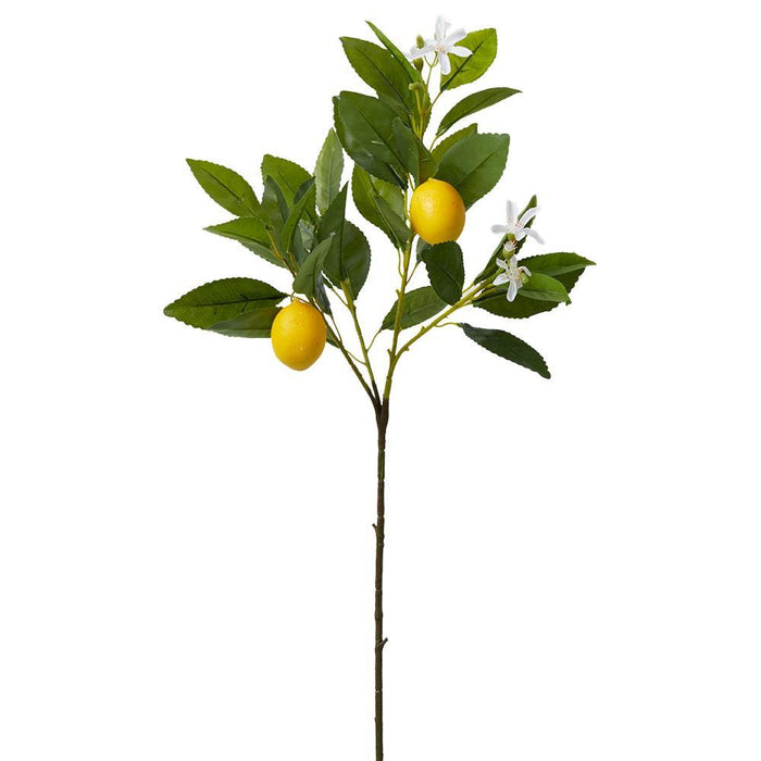 Serene Spaces Living Baby Lemon Tree Pick, Ideal for Wedding or Event Centerpiece Arrangement, Measures 23" Tall, Pack of 12