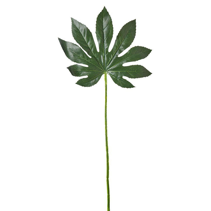 Serene Spaces Living Fatsia Leaf, Real Looking Plant Leaves for Decoration, Measures 24" Tall, Pack of 72