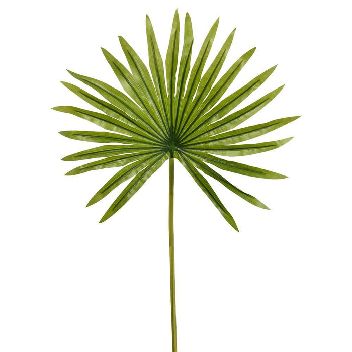 Serene Spaces Living Mini Fan Palm Leaf, Real Looking Plant Leaves for Decoration, Measures 19" Tall, Pack of 12