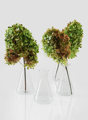 Serene Spaces Living Set of 4 Small Flask Bud Vases, Transparent Glass Vases, Each Measures 5.25" Tall and 3.25" Diameter