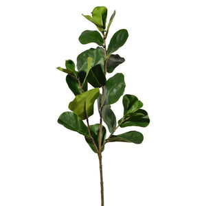 Serene Spaces Living Fiddle Leaf Fig Spray, Real Looking Plant Leaves for Decoration, Measures 30" Tall, Pack of 12