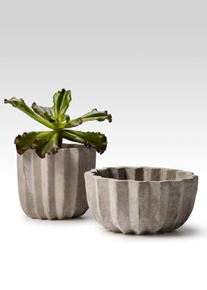 Pleated Cement Pots