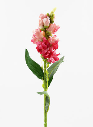 Serene Spaces Living Pink Snapdragon Flowers, Perfect for Permanent Floral Arrangements, Measures 23" Tall