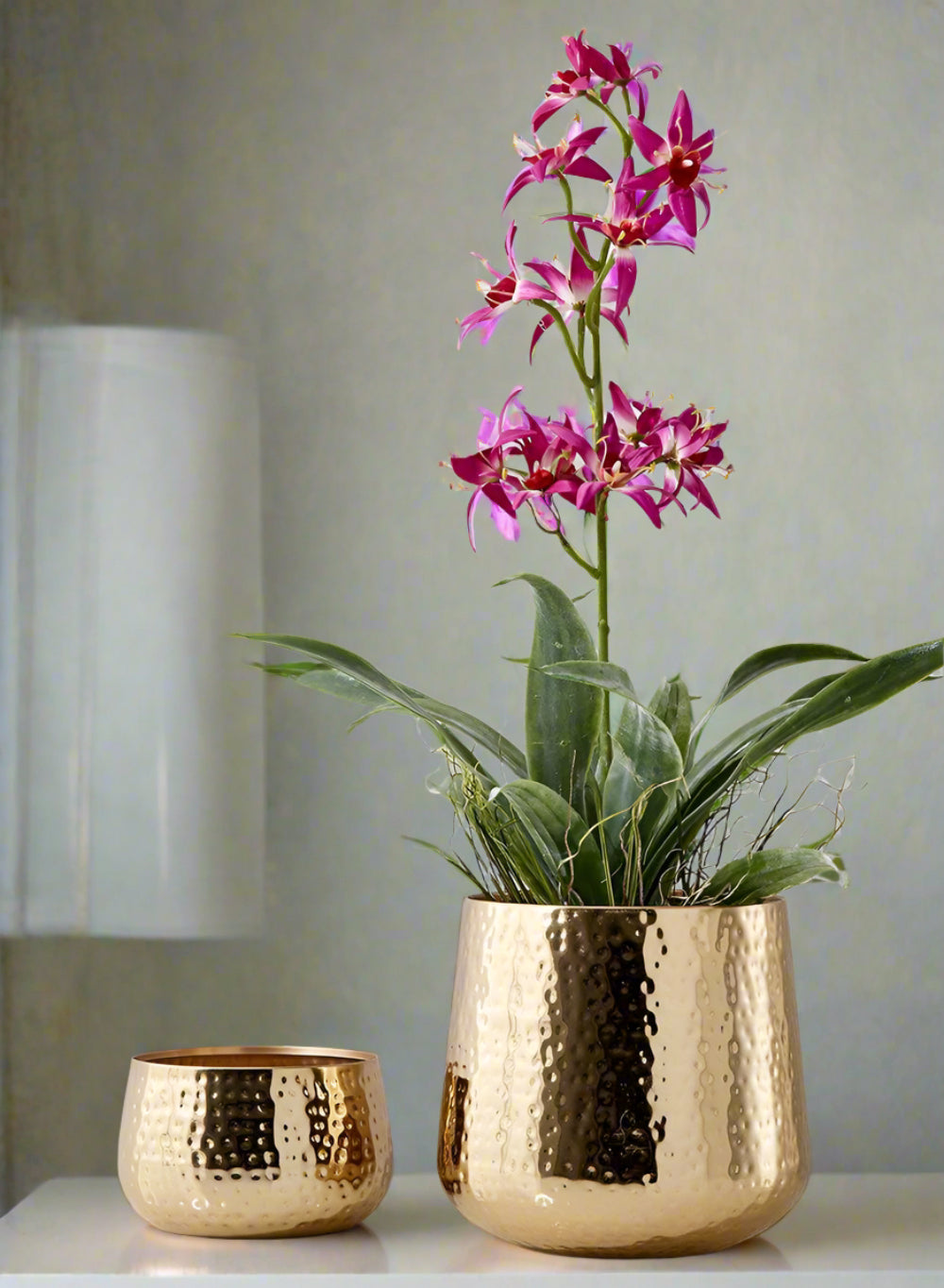 Shiny Hammered Gold Pot Vase, In 2 Sizes