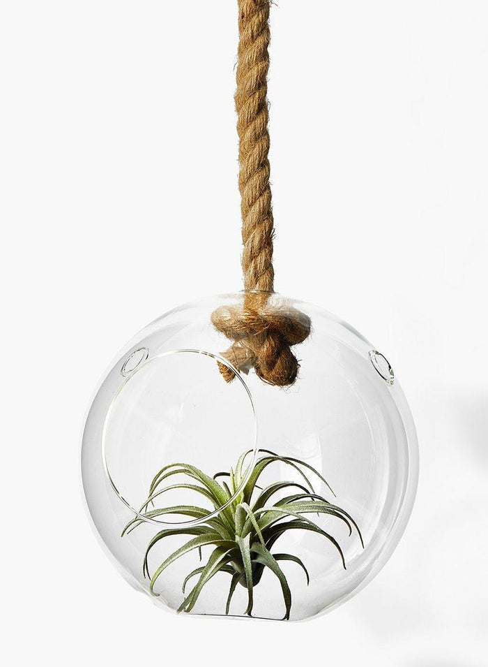 Serene Spaces Living Decorative Hanging Glass Vase with Jute Rope, Measures 8.5” Diameter