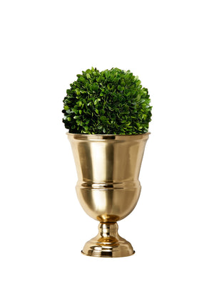 DIY Vase Kit: Contains Boxwood Ball & Gold Urn Vase
