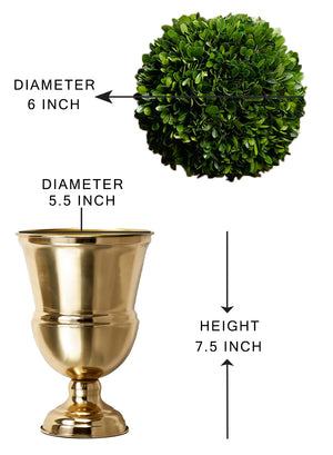 DIY Vase Kit: Contains Boxwood Ball & Gold Urn Vase