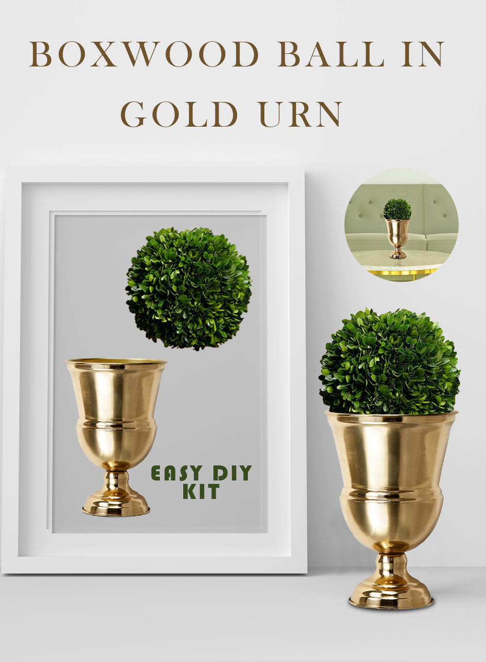 DIY Vase Kit: Contains Boxwood Ball & Gold Urn Vase