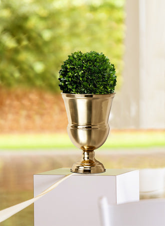 Serene Spaces Living DIY Vase Kit: Contains Boxwood Ball & Gold Urn Vase