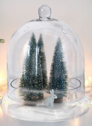 Serene Spaces Living Glass Cloche, Ideal as a Terrarium 2 Sizes Available