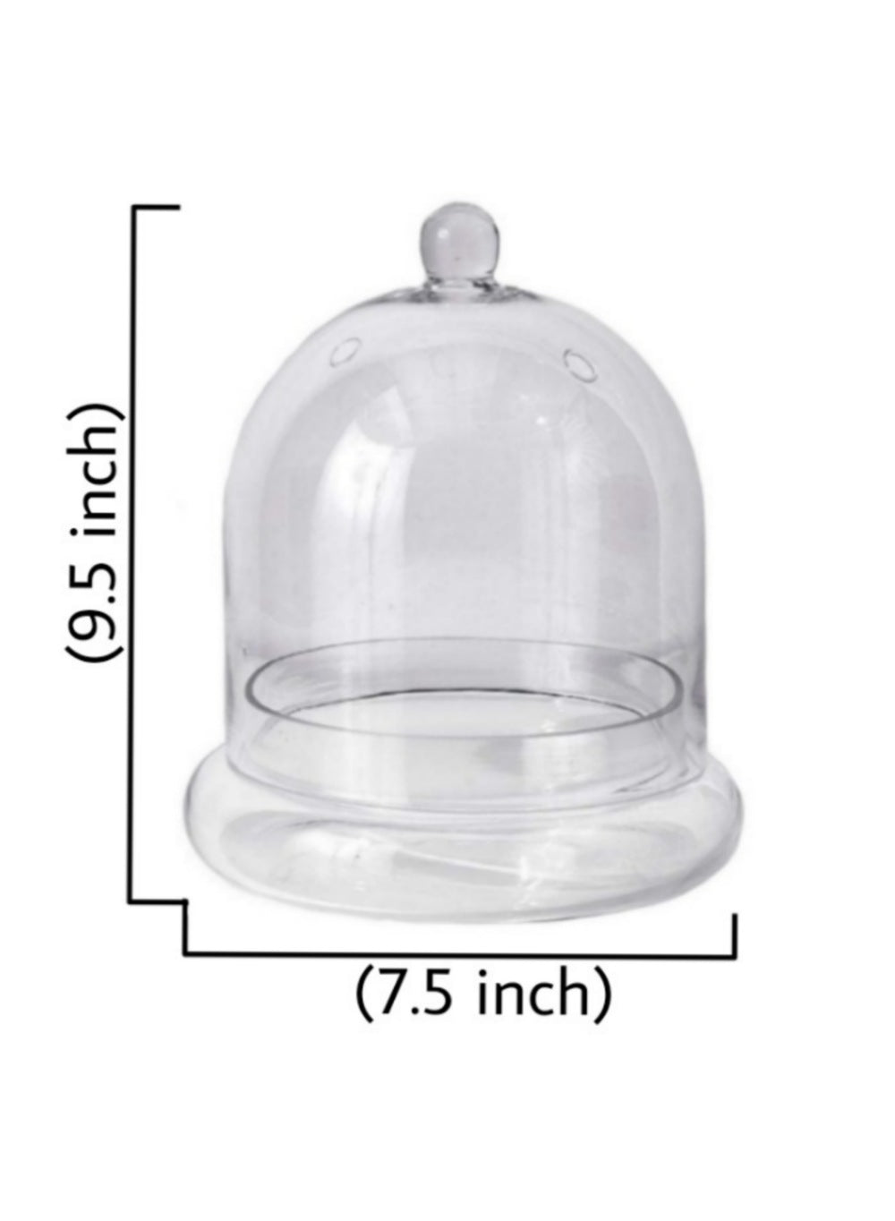 Glass Cloche, in 2 Sizes